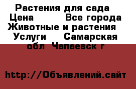 Растения для сада › Цена ­ 200 - Все города Животные и растения » Услуги   . Самарская обл.,Чапаевск г.